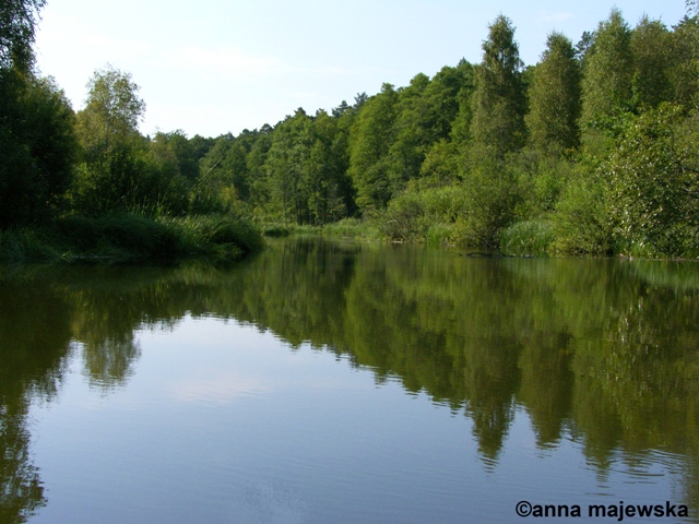 Rzeka Sawica
